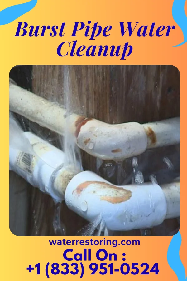 Burst Pipe Water Cleanup in Foosland, IL