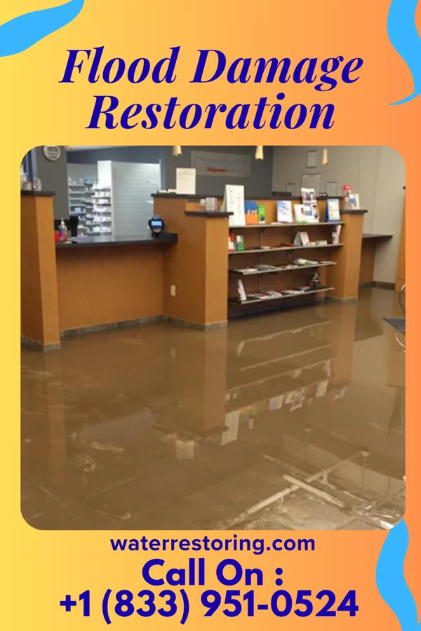Flood Damage Restoration in Foosland, IL